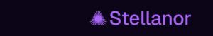 An image uploaded to Strapi called 15-300x51